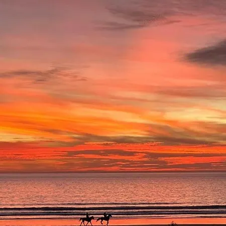 Merci * 卡利亚里